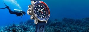 Citizen Dive Watch